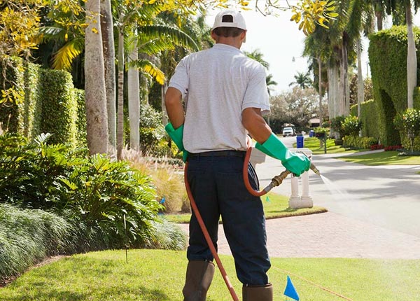 About Gold Canyon AZ Pest Control